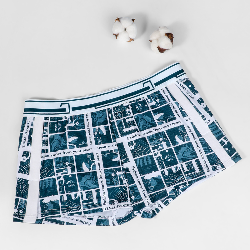 Celana dalam pria, celana Aro  - Boxer Brief Pack Cotton ulasan dan harga